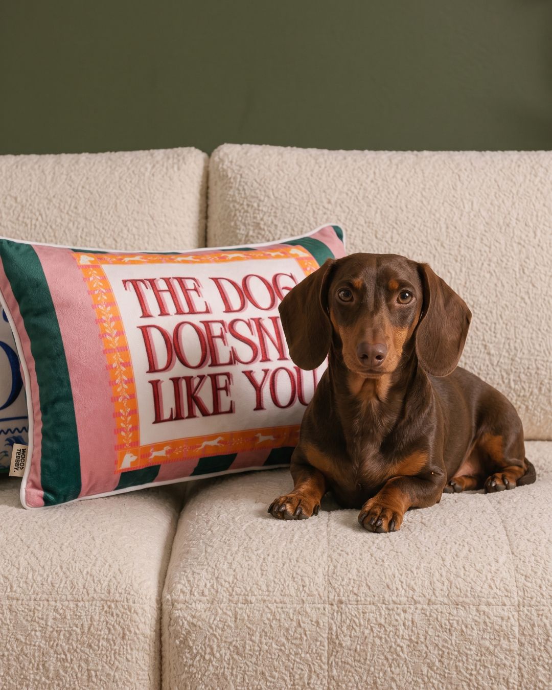 the dog doesn't like you pillow