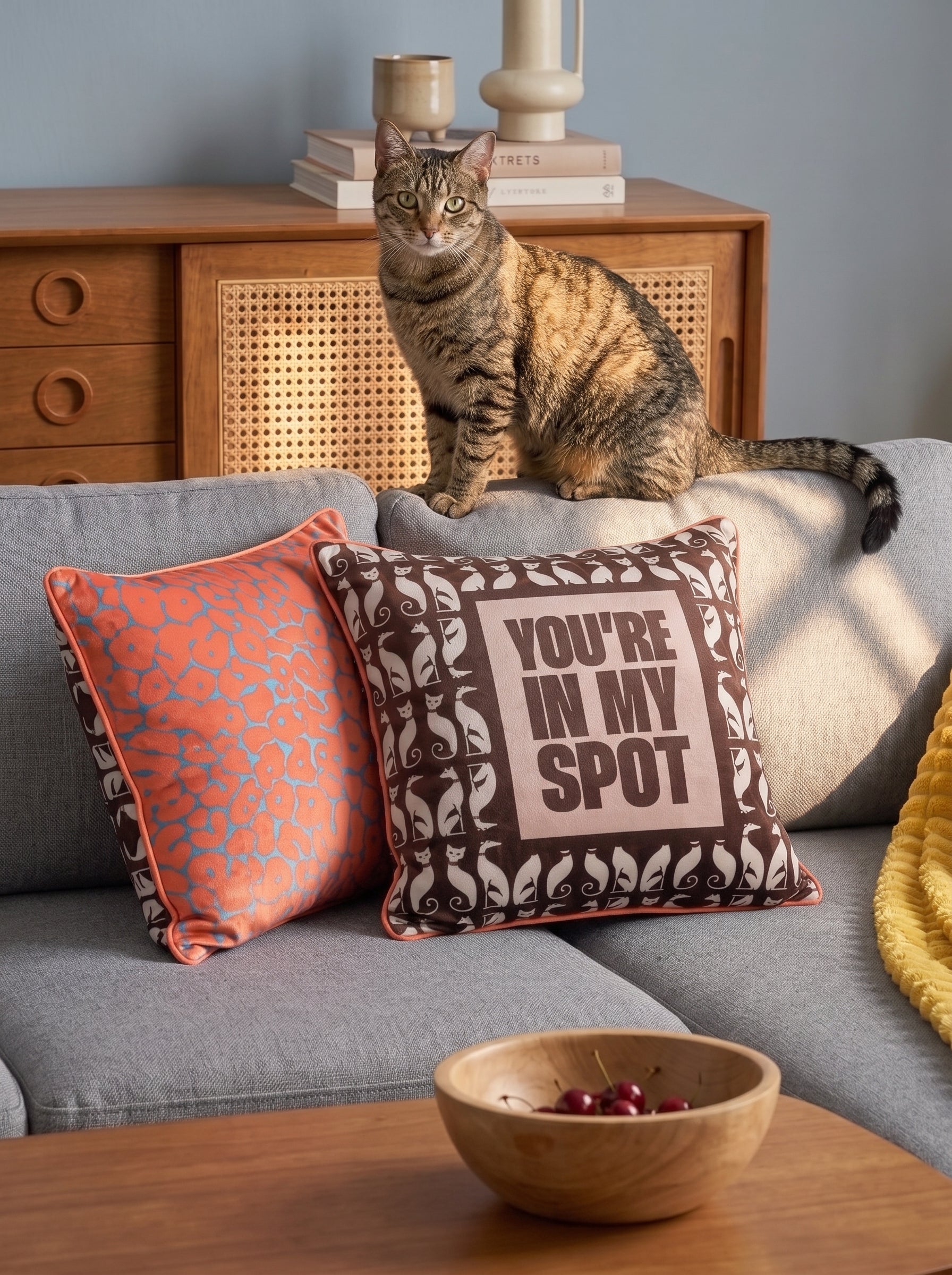 you’re in my spot pillow