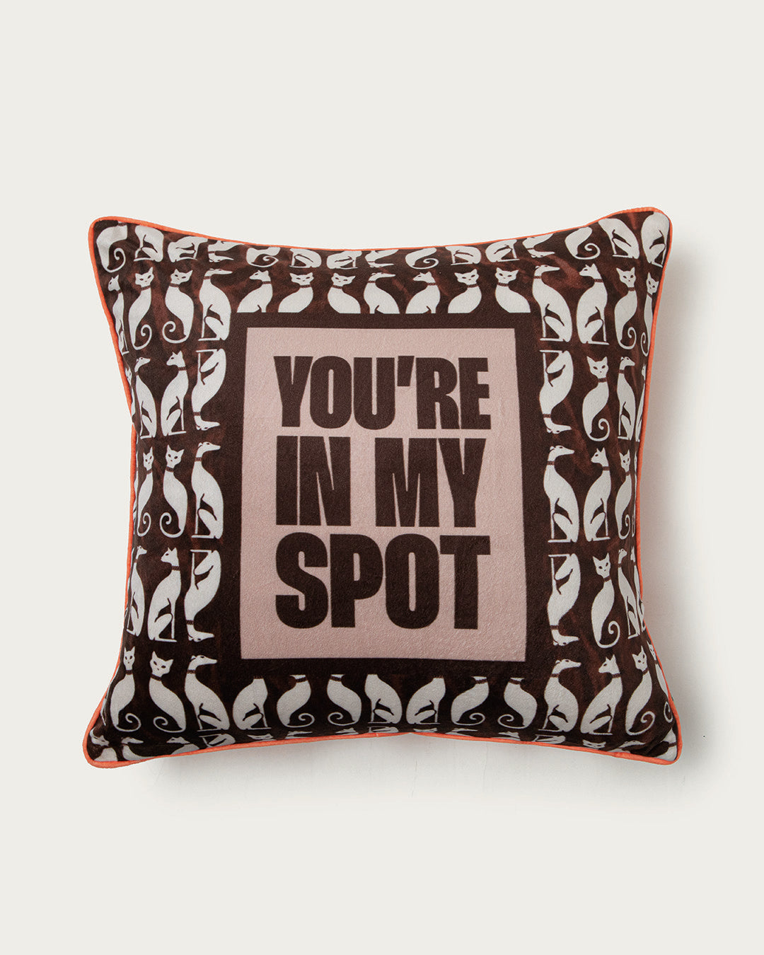 you’re in my spot pillow