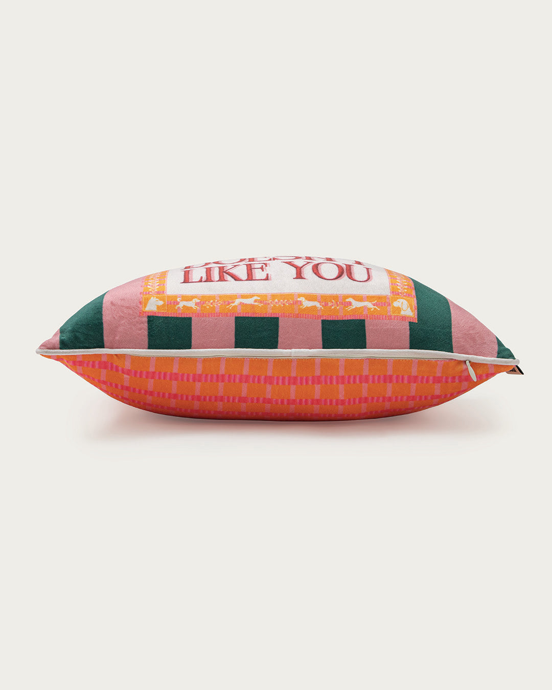 the dog doesn't like you pillow