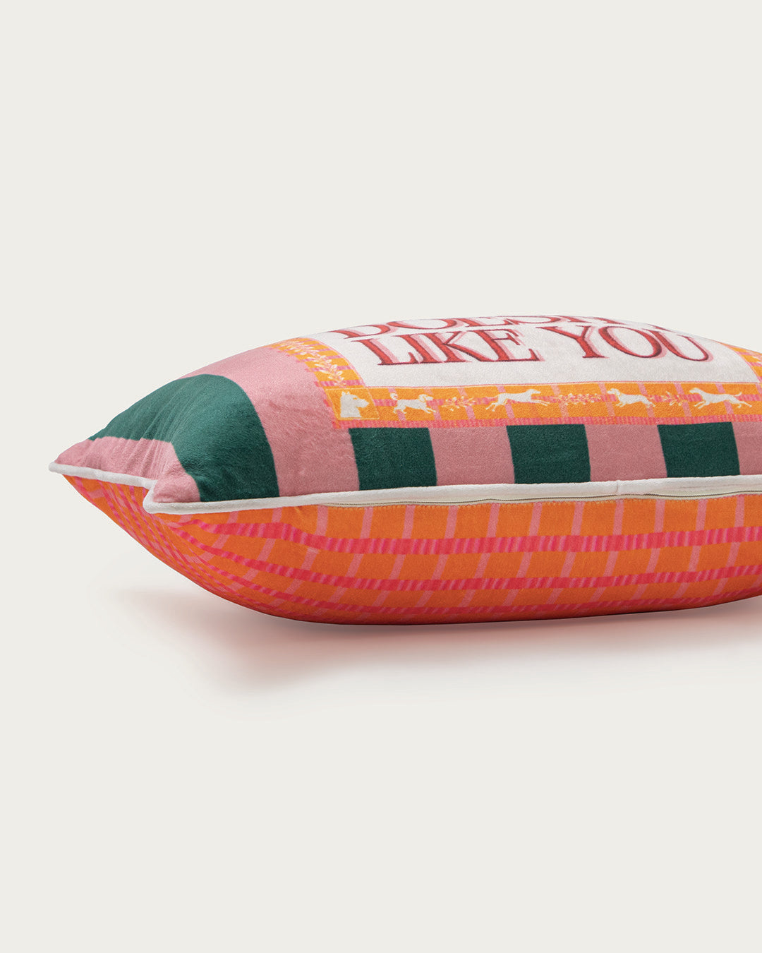 the dog doesn't like you pillow